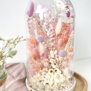 Broom bloom pink