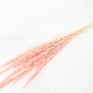 Mini trawka różowa