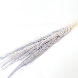 Mini trawka niebieska