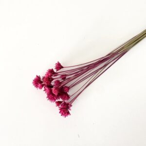 Hill flower malinowy – SUSZKI | Miła Odmiana